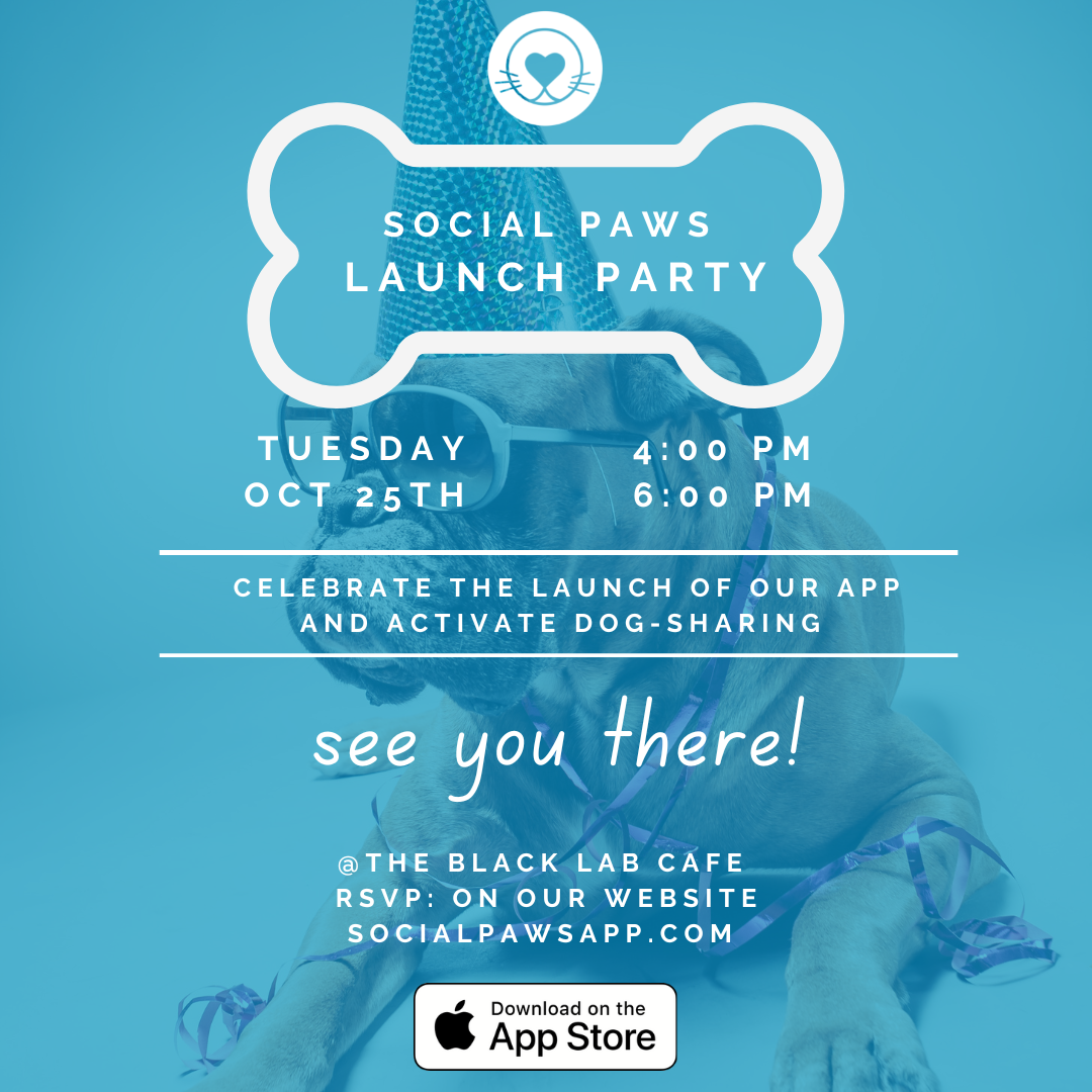 Social Paws Launch Party