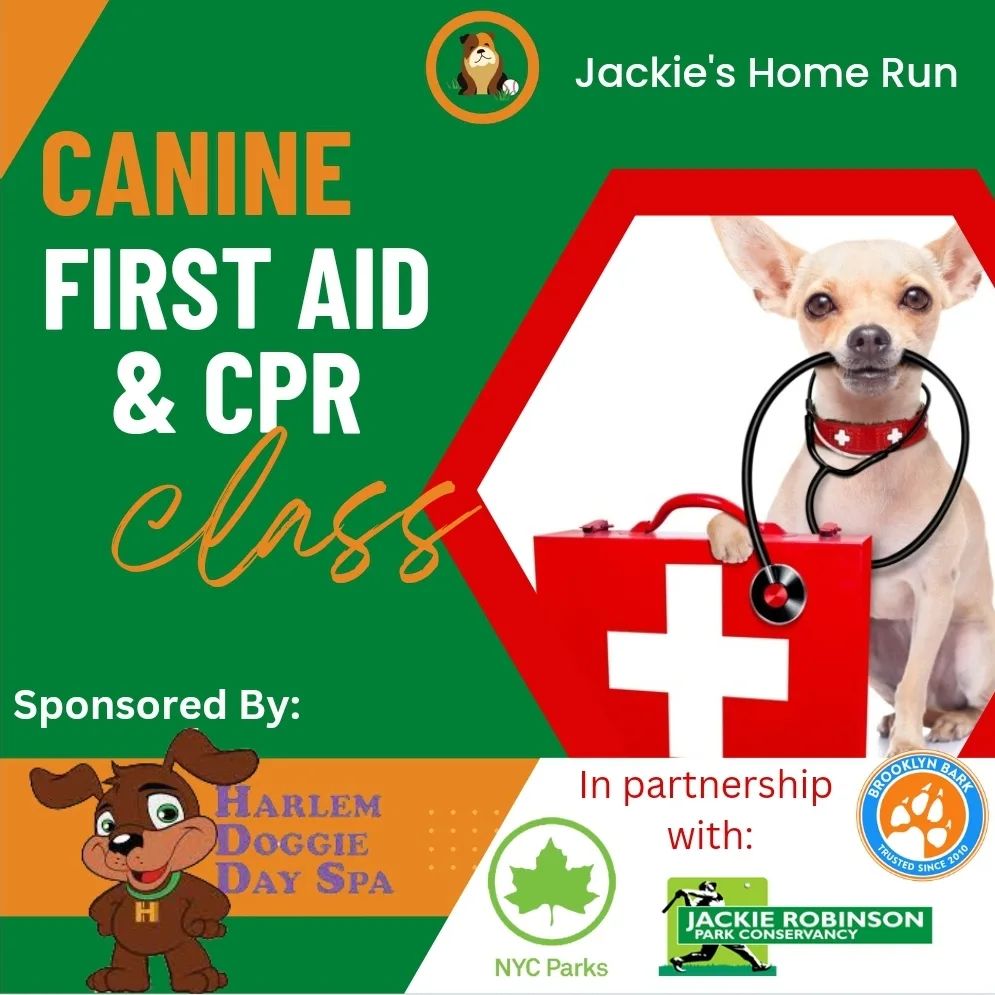 Canine First Aid & CPR Class