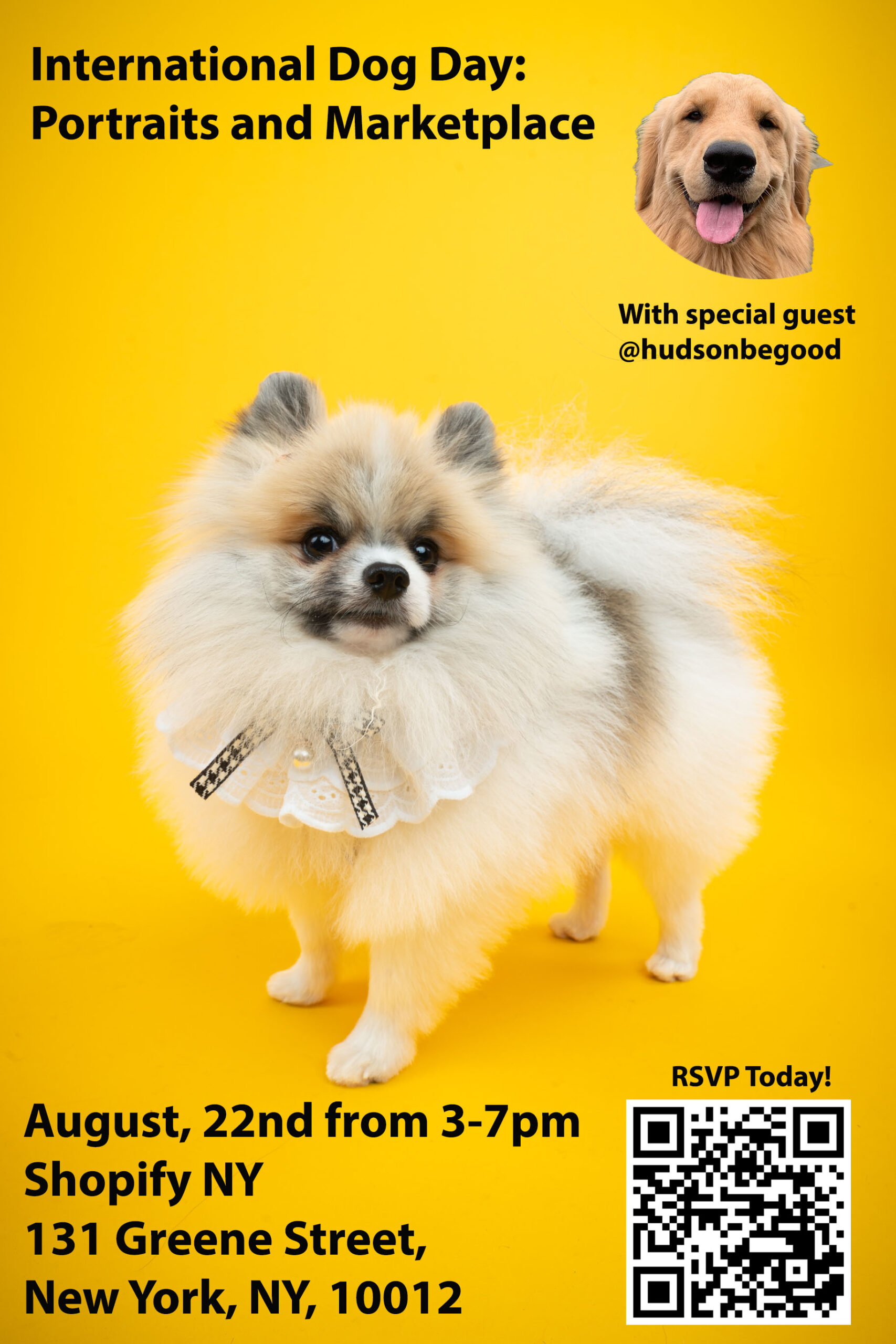 International Dog Day Portraits and Marketplace NYC Dog Events