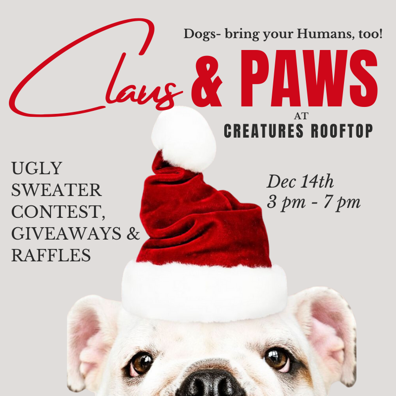 City Paws Social